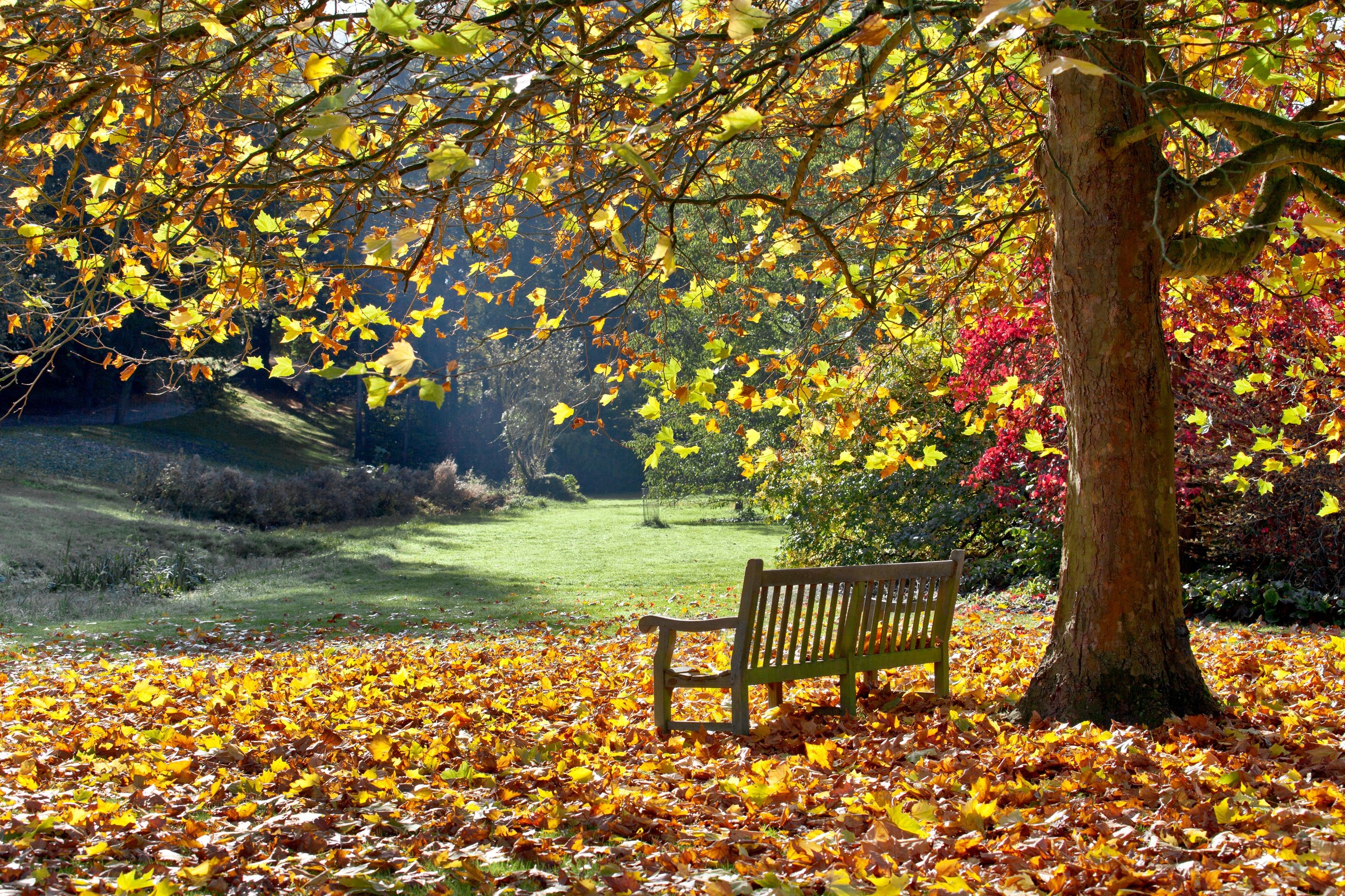 Watford & Hertfordshire property news