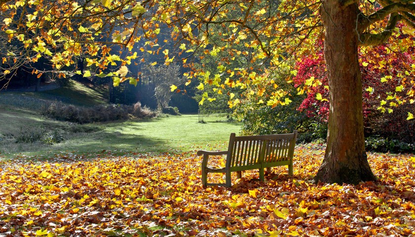 Watford & Hertfordshire property news