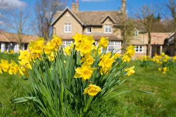 Your Watford & Hertfordshire market report