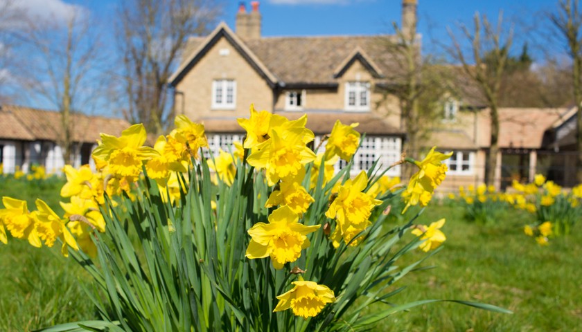 Your Watford & Hertfordshire market report
