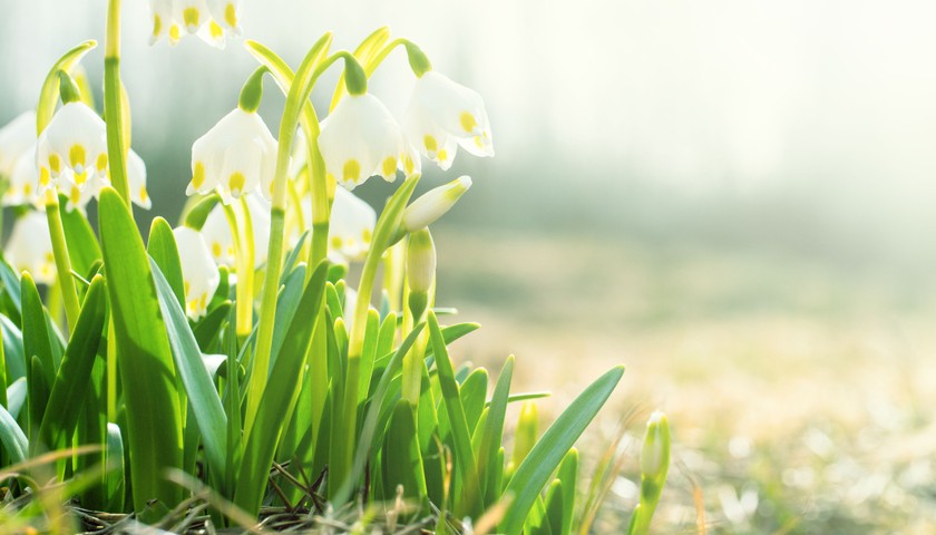 Your Watford & Hertfordshire market report